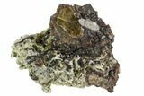 Garnet Cluster with Mica, Feldspar and Epidote- Pakistan #100426-1